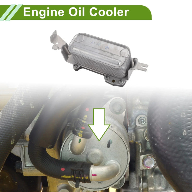 BMW 550i Engine Oil Cooler (2009-2016)