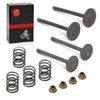 EZGO 4 Cycle Gas Golf Cart 350cc EH35C Intake Valve Set (2003–2008)