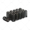 LS Engines Beehive Valve Spring Kit .625" Lift (All Years)