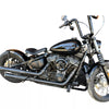 Harley Softail Street Bob Rear Fender Plate Guard (2019-2024)