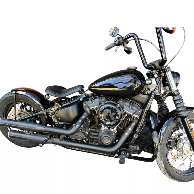 Harley Softail Street Bob Rear Fender Plate Guard (2019-2024)