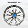 Toyota Sequoia Wheel Center Cap (2001-2023)