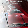 Hyundai Genesis Coupe Hood Lift Supports Struts (2010-2016)