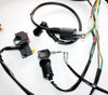150cc 250cc Engine PIT Quad Dirt Bike ATV Buggy Wiring Harness Loom