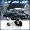 BMW MINI Engine Mount (2006 - 2006)