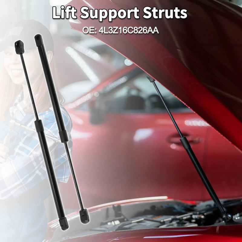 Ford F-150 2004-2008 Hood Lift Supports Struts (2 x)