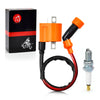 Yamaha Grizzly 2 x Ignition Coil & Spark Plug (2007–2014)