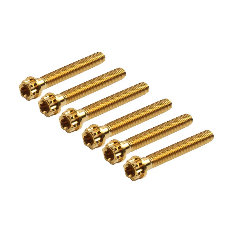 Motorcycle Bike 6 x M8x45mm Titanium Torx Head Flange Screws