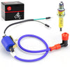 ATV Dirt Bike Ignition Coil and 10mm Spark Plug
