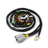 Honda TRX450R ATV Stator & Gasket (2004–2005)
