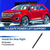 Ford Edge Rear RH Tailgate Power Lift Support (2015-2018)
