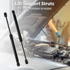 Kia Sedona Hood Lift Supports Struts (2006-2014)