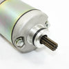 250cc 300cc PIT TRAIL DIRT QUAD BIKE ATV BUGGY 9 Teeth Starter Motor