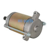 Massimo UTV T-BOSS 550 550X 550F 560 Starter Motor (2016-2023)