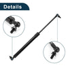 Toyota Land Cruiser Hood Lift Supports Struts Gas Spring (2008-2021)