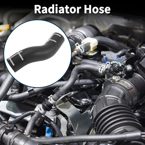Porsche Panamera Radiator Hose (2010-2014)