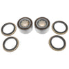 Nissan Infiniti Q45 Front Wheel Bearing Kits + Grease (1993-1997)