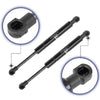 Nissan Maxima Rear Trunk Lift Supports (2006-2008)