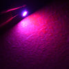 Universal 10x Pure Pink T5/T4.7 Neo Wedge LED Dash Light Bulbs (2010-2023)