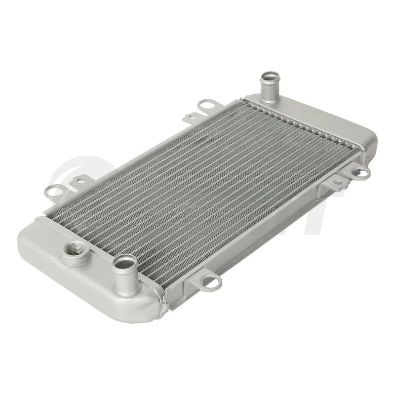 Kawasaki Ninja 250R EX250 Radiator 250R Cooler (2008 - 2012)