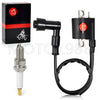 Badger 80 / Grizzly 80 / Raptor 80 Coil & Spark Plug Kit