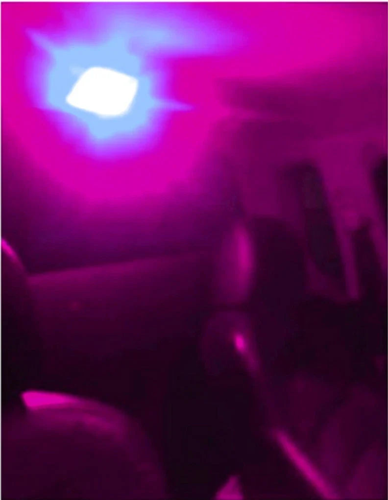 Holden Commodore VL-VZ Purple LED Interior Dome Light