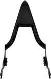 Harley Touring Road King Street Glide Backrest Sissy Bar (2009-2020)