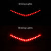 Honda Goldwing 1800 Rear Fender LED Light (2012-2017)