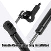 Toyota Solara Front Hood Lift Supports (1999-2003)