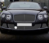 Bentley Continental GT GTC Bumper Lower Mesh Grille Set (2012-2018)