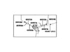 Toyota SEQUOIA Height Control Valve Sub Assy (2004–2022)