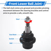 Ford F-150 Front Lower Ball Joints (2015-2020)