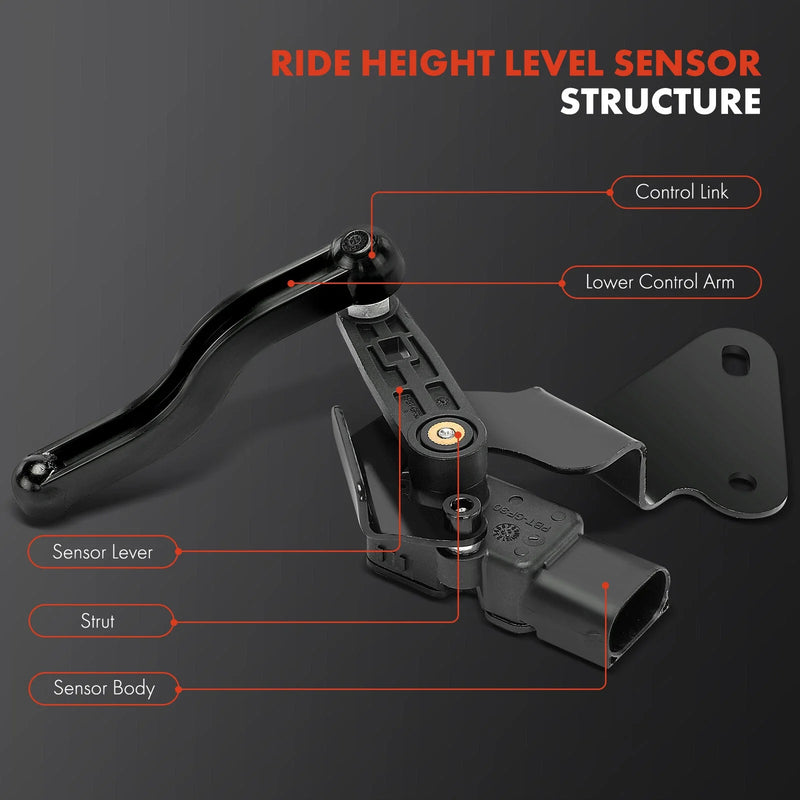 Ram 1500 Rear Right Ride Height Sensor w/ 3 Pins (2015–2018)