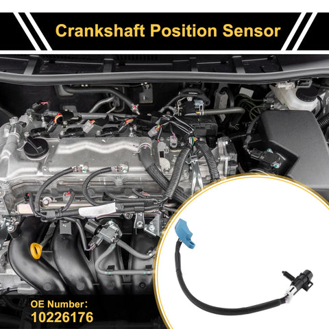 Chevrolet Monte Carlo Z34 Crankshaft Position Sensor (1995-1996)