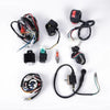 ATV Electric-Quad CDI WIRE HARNESS-STATOR ASSEMBLY