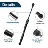 BMW 645Ci Rear Hatch Lift Supports (2004-2005)
