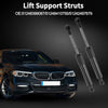 BMW Z3 Tailgate Lift Supports  Struts (1996-1999)