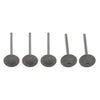 Yamaha YFZ 450, WR 450F, YZ 450F Exhaust & Intake Valves (2003-2009)