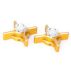 Kawasaki Z800, Yamaha MT09 (2013-2015) Gold Chain Adjuster Tensioners
