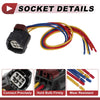 Dodge Nitro Taillight Socket Wiring Harness (2007-2011)