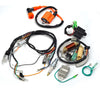 Yamaha YFS200 Ignition Coil CDI Regulator Stator Wire Harness (1997–2001)