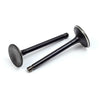 EZGO Gas 4 Stroke Intake & Exhaust Valve Set (1996-2026)