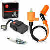 Honda FourTrax 300 TRX300 Ignition Coil CDI & Spark Plug (1998–2000)