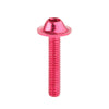 Honda CBR250R CBR300R Red Fairing Bolt Kit 2 x Body Screws Nuts Set (2011-2020)
