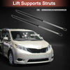 Toyota Sienna Rear Hatch Lift Supports (2011-2017)