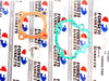 Honda QR50 0.50mm O/S Top End Kit with 40.5mm Piston Rings & Gasket (82-03)