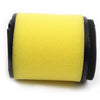 Arctic Cat ATV 250 300 2x4 4x4 Air Filter (2000-2006)