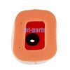 Honda CRF250F Air Filter (2019-2025)