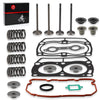 Polaris Ranger 800 Top End Gasket W/ Valves Seal Kit (2012–2014)