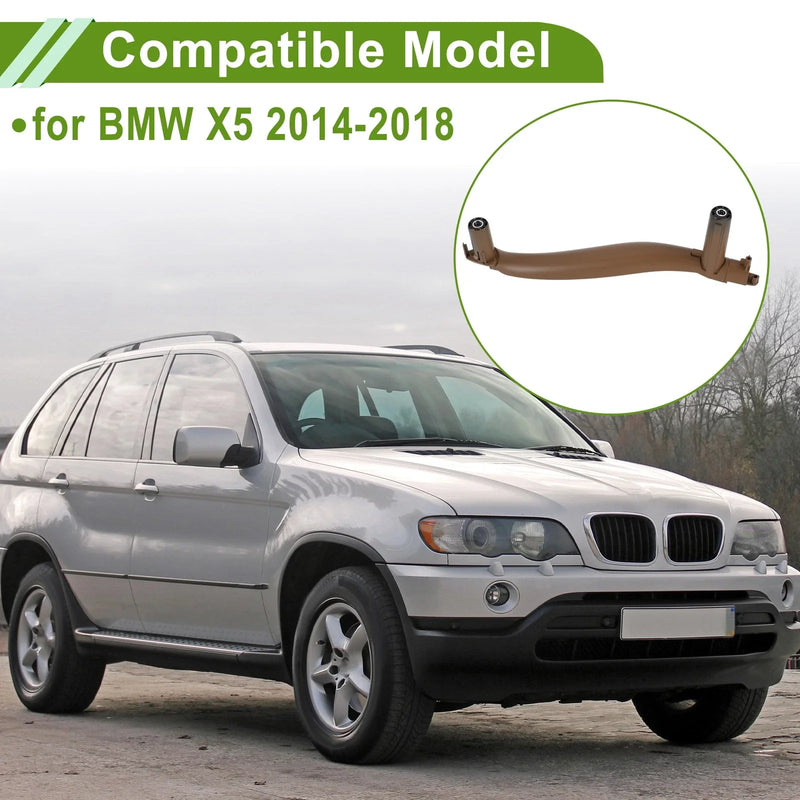 BMW X5 Front Driver Side Door Handle Trim Cover (2000-2006)